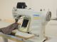 used JUKI DP-2100  - Home